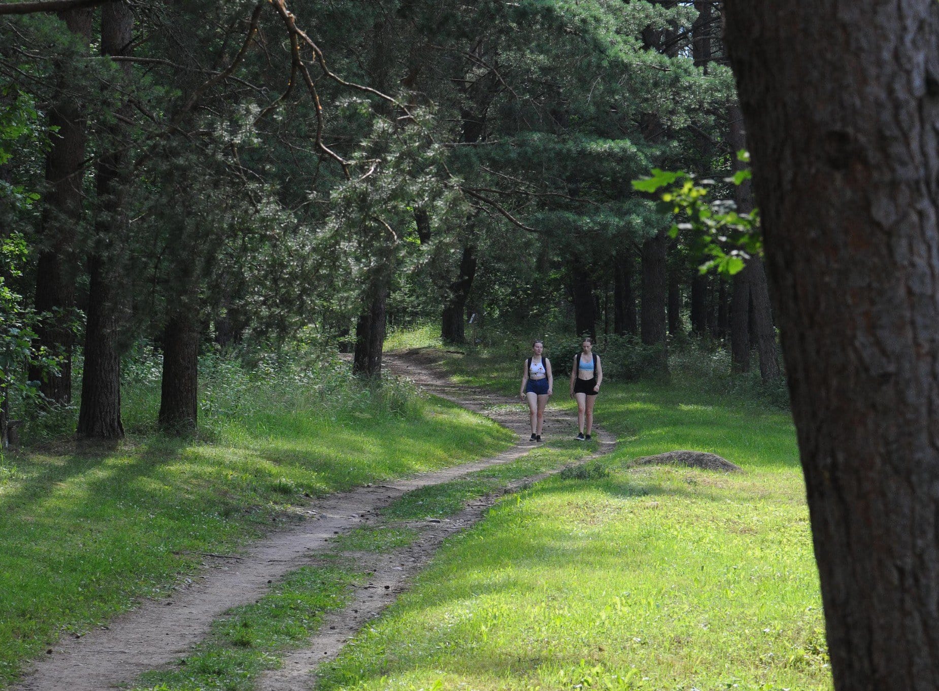 Akmenės gamtos ir kultūros parkas. Prailgintos vasaros gidas: ramybės savaitgalis šeimai Akmenėje